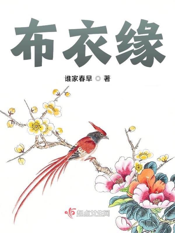 布衣平民之间的友谊